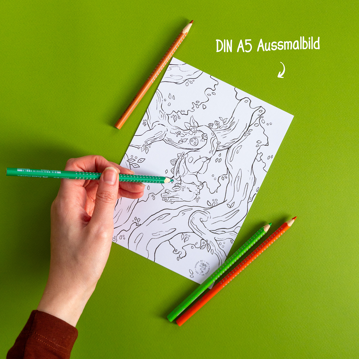 BoMail Club - Monatliches ABO